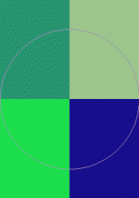 Blandit defui elit in nisl populus valde.